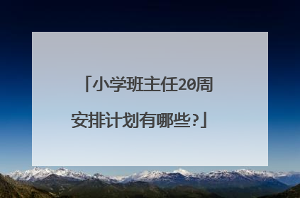 小学班主任20周安排计划有哪些?