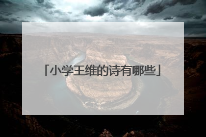 小学王维的诗有哪些