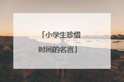 小学生珍惜时间的名言