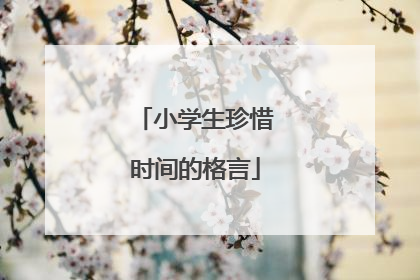 小学生珍惜时间的格言