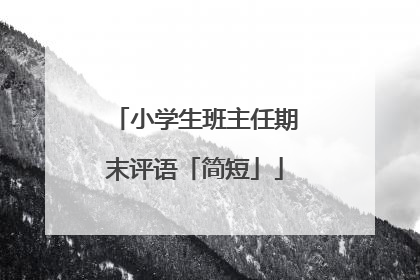小学生班主任期末评语「简短」