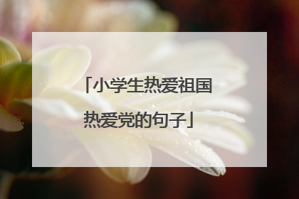 小学生热爱祖国热爱党的句子