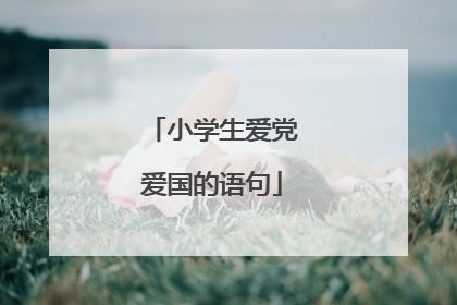 小学生爱党爱国的语句