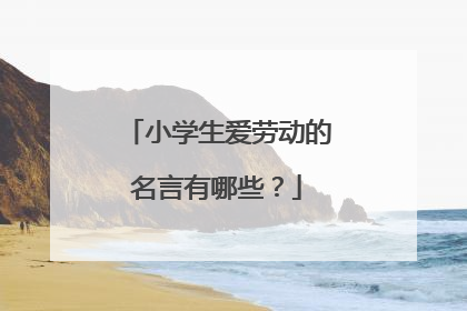 小学生爱劳动的名言有哪些？