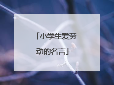 小学生爱劳动的名言