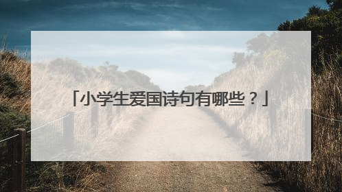 小学生爱国诗句有哪些?