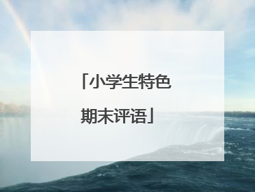 小学生特色期末评语