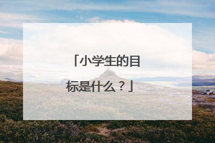 小学生的目标是什么?
