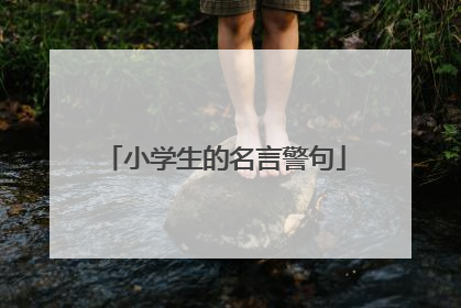 小学生的名言警句