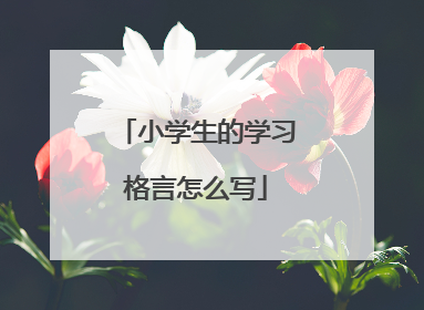 小学生的学习格言怎么写
