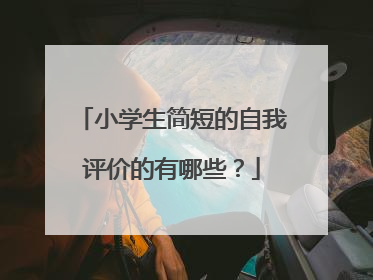 小学生简短的自我评价的有哪些?