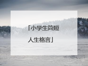 小学生简短人生格言