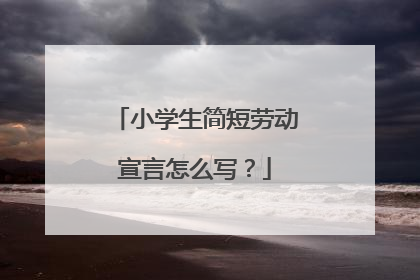 小学生简短劳动宣言怎么写?
