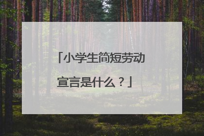 小学生简短劳动宣言是什么?