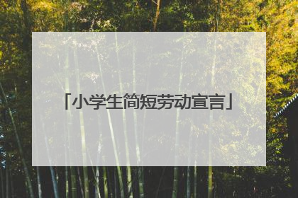 小学生简短劳动宣言