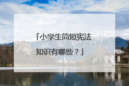 小学生简短宪法知识有哪些?