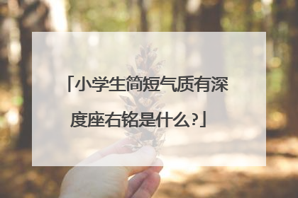 小学生简短气质有深度座右铭是什么?