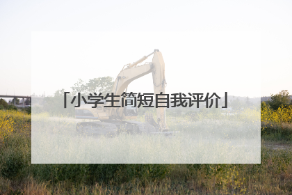 小学生简短自我评价