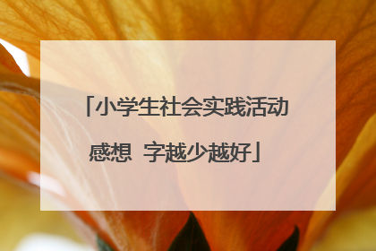 小学生社会实践活动感想 字越少越好