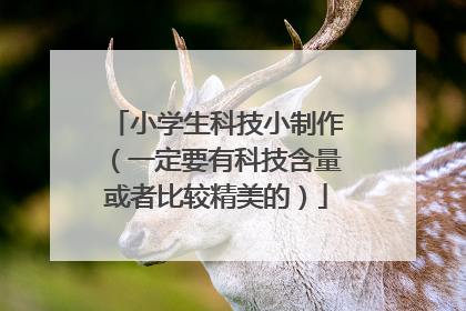 小学生科技小制作(一定要有科技含量或者比较精美的)