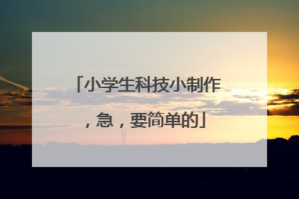 小学生科技小制作，急，要简单的