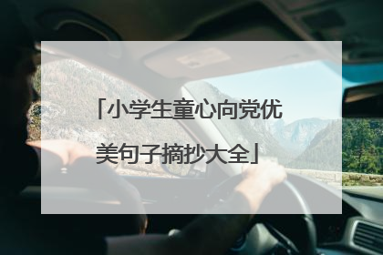 小学生童心向党优美句子摘抄大全