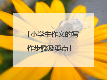 小学生作文的写作步骤及要点