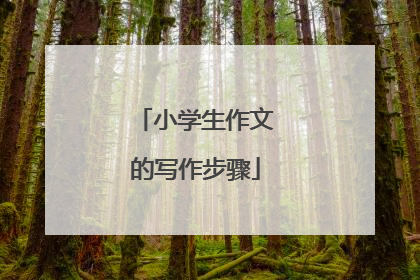 小学生作文的写作步骤