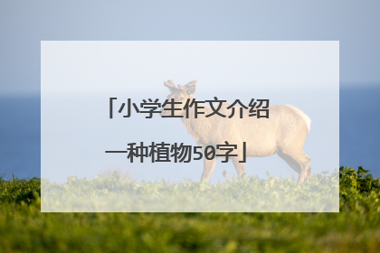 小学生作文介绍一种植物50字