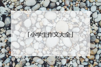 小学生作文大全