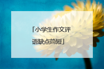 小学生作文评语缺点简短