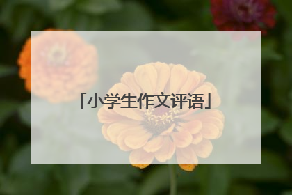 小学生作文评语