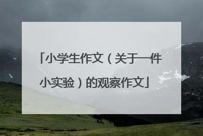小学生作文(关于一件小实验)的观察作文