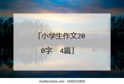 小学生作文200字 4篇