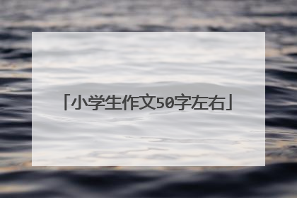 小学生作文50字左右
