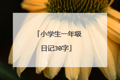小学生一年级日记30字