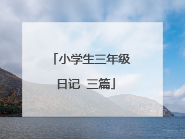 小学生三年级日记 三篇