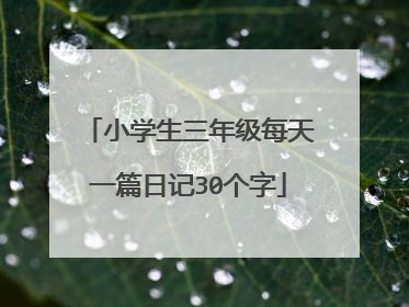 小学生三年级每天一篇日记30个字