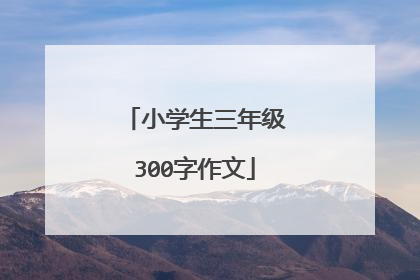 小学生三年级300字作文