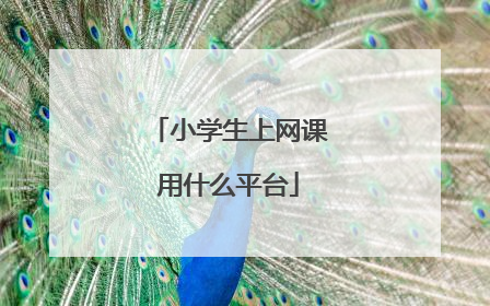 小学生上网课用什么平台