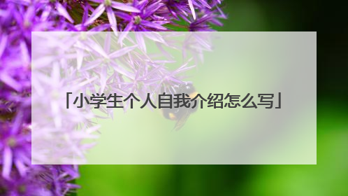 小学生个人自我介绍怎么写