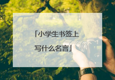 小学生书签上写什么名言