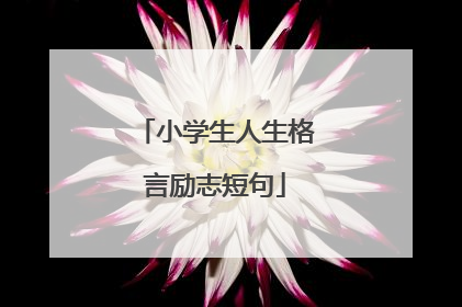 小学生人生格言励志短句