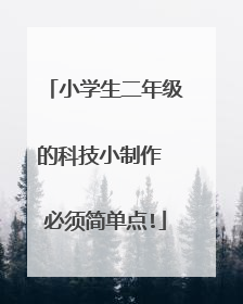 小学生二年级的科技小制作 必须简单点!