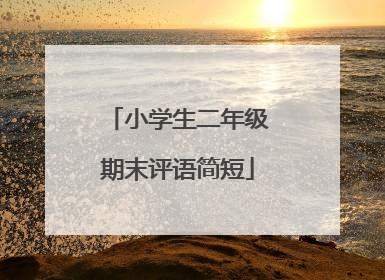 小学生二年级期末评语简短