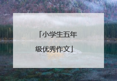 小学生五年级优秀作文