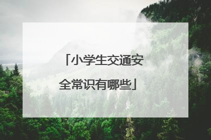 小学生交通安全常识有哪些
