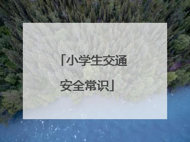 小学生交通安全常识