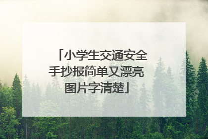 小学生交通安全手抄报简单又漂亮图片字清楚
