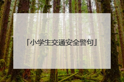 小学生交通安全警句